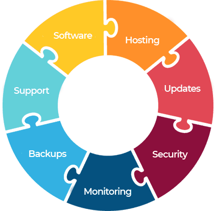 Service Solution Infographic